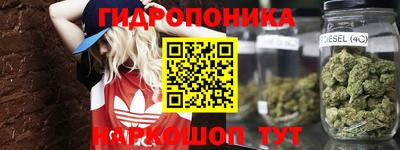 стафф Коммунар